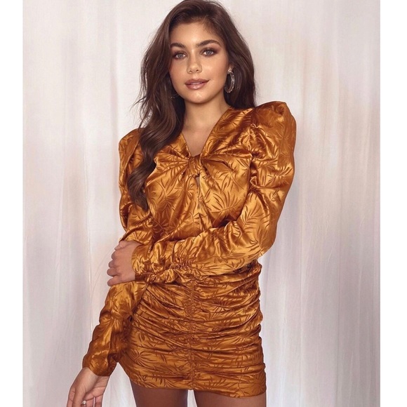 Ronny Kobo Flora Bronze Ruched Mini Dress - Picture 2 of 14